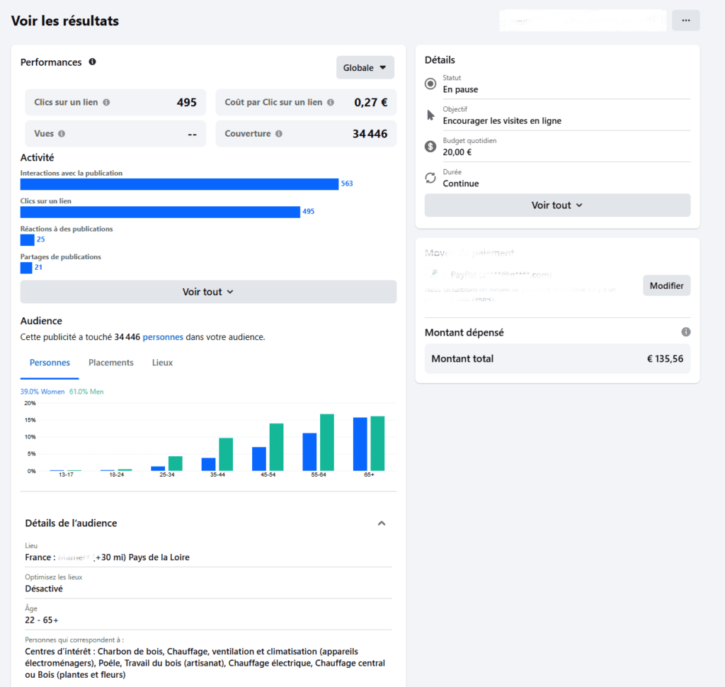 Capture d’écran d’une interface Google Ads avec un exemple de campagne active. 