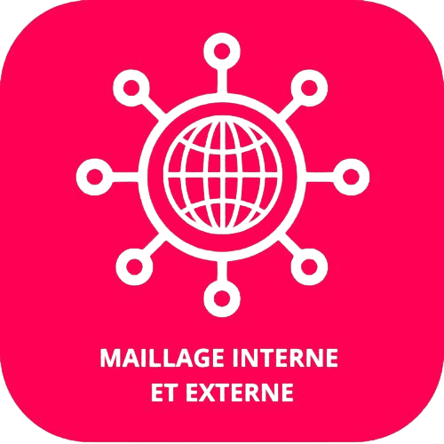 icone avec écrit "maillage interne et externe", contenant un globe web avec des réseaux autour